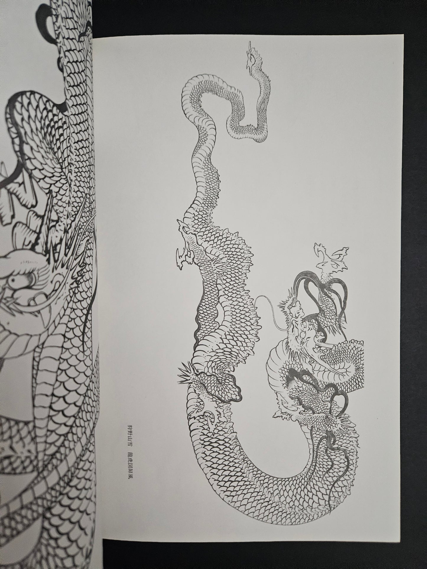How To Draw A Dragon - Tansai Terano (1998)