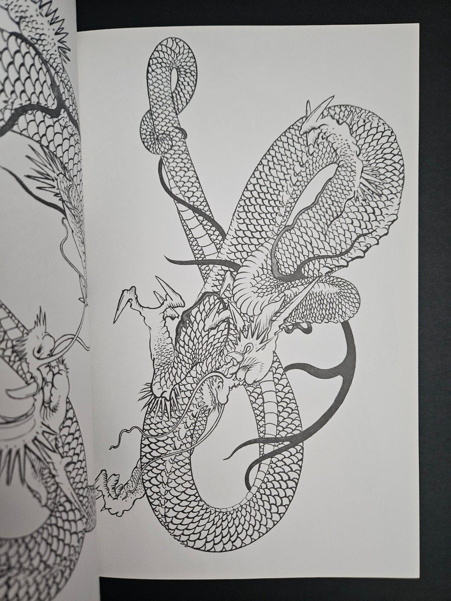How To Draw A Dragon - Tansai Terano (1998)