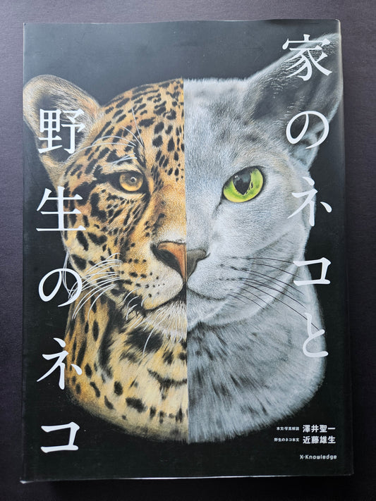 Seiichi Sawai & Yuo Kondo - House Cats and Wild Cats of the World (2019)