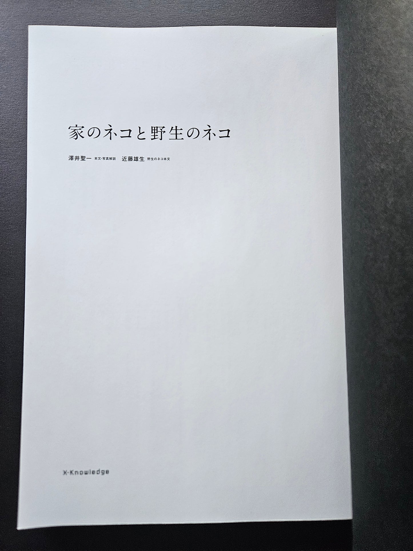 Seiichi Sawai & Yuo Kondo - House Cats and Wild Cats of the World (2019)