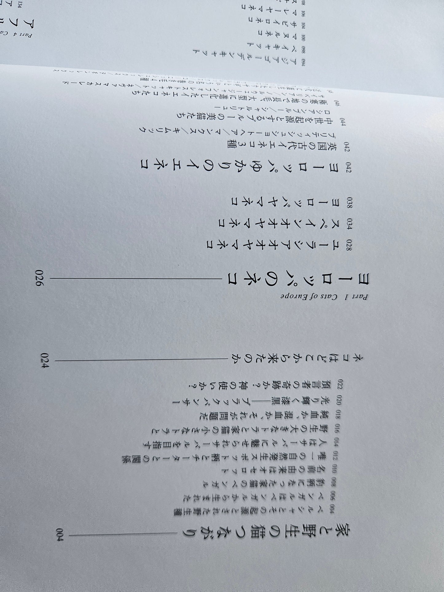 Seiichi Sawai & Yuo Kondo - House Cats and Wild Cats of the World (2019)