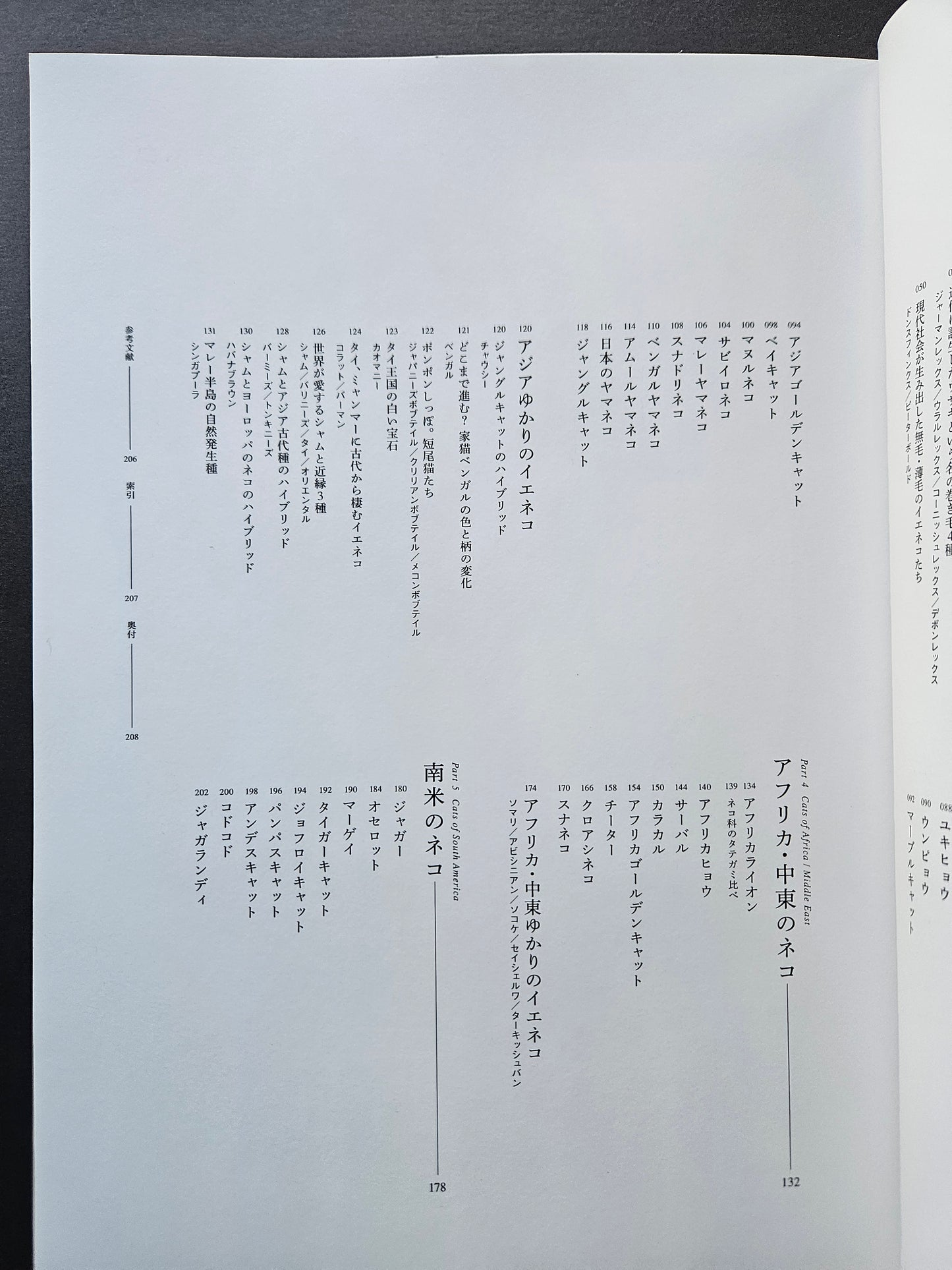 Seiichi Sawai & Yuo Kondo - House Cats and Wild Cats of the World (2019)