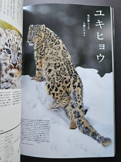 Seiichi Sawai & Yuo Kondo - House Cats and Wild Cats of the World (2019)