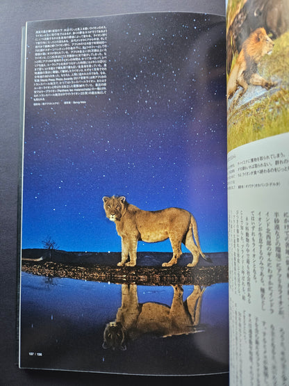 Seiichi Sawai & Yuo Kondo - House Cats and Wild Cats of the World (2019)