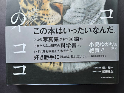 Seiichi Sawai & Yuo Kondo - House Cats and Wild Cats of the World (2019)