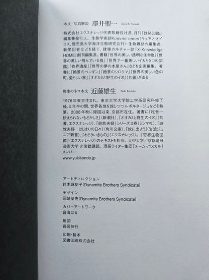 Seiichi Sawai & Yuo Kondo - House Cats and Wild Cats of the World (2019)