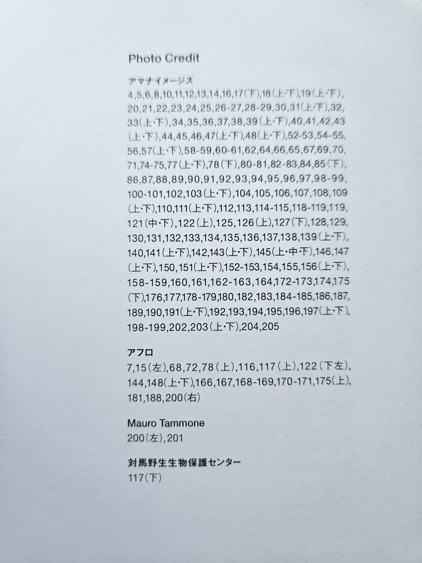 Seiichi Sawai & Yuo Kondo - House Cats and Wild Cats of the World (2019)