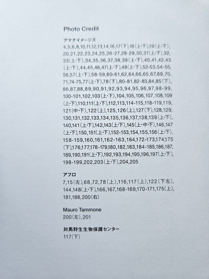 Seiichi Sawai & Yuo Kondo - House Cats and Wild Cats of the World (2019)