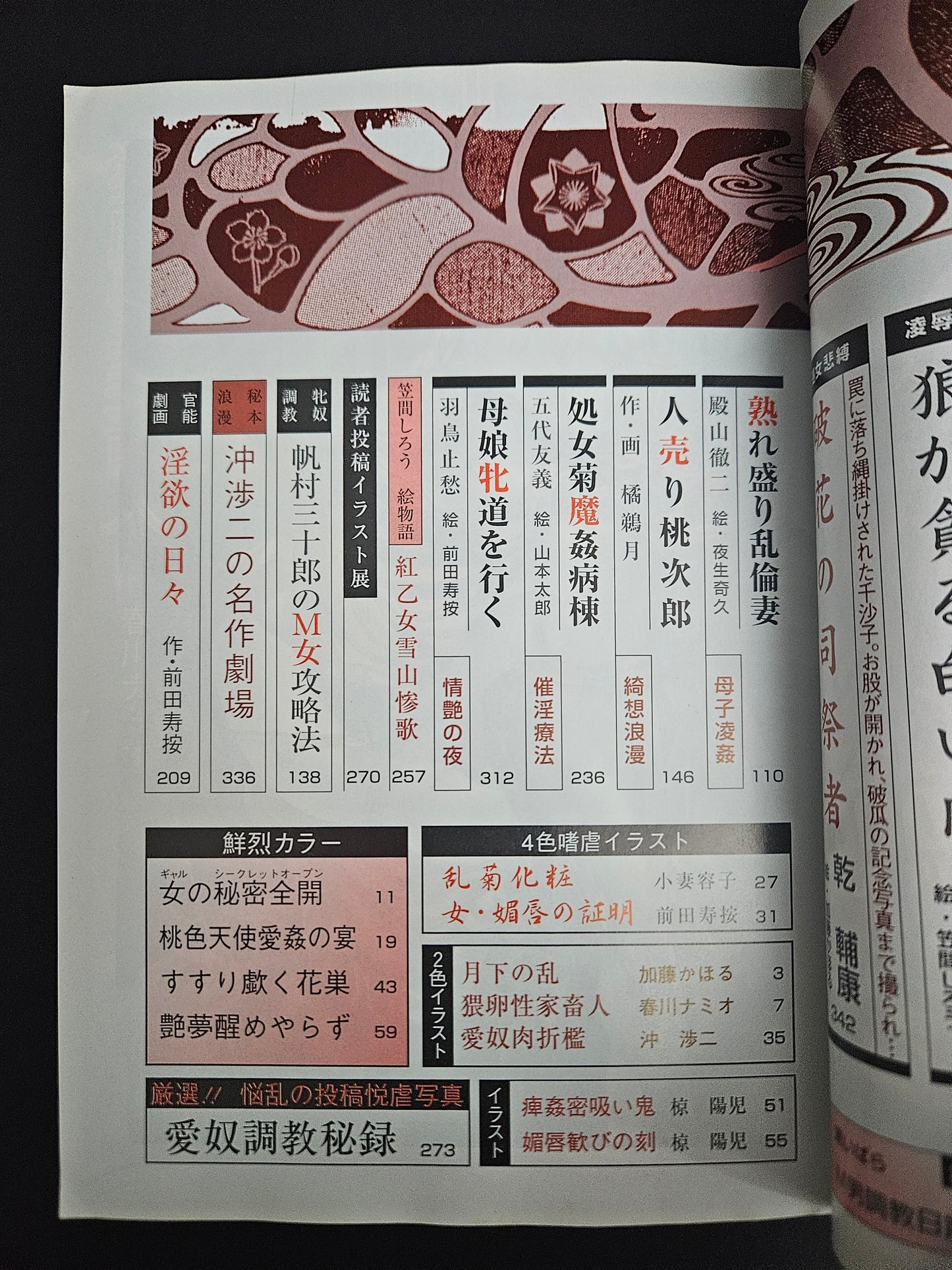 SM Secret Stories  - January 2001