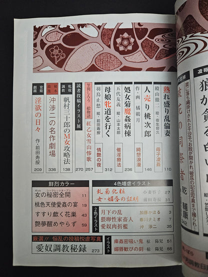 SM Secret Stories  - January 2001