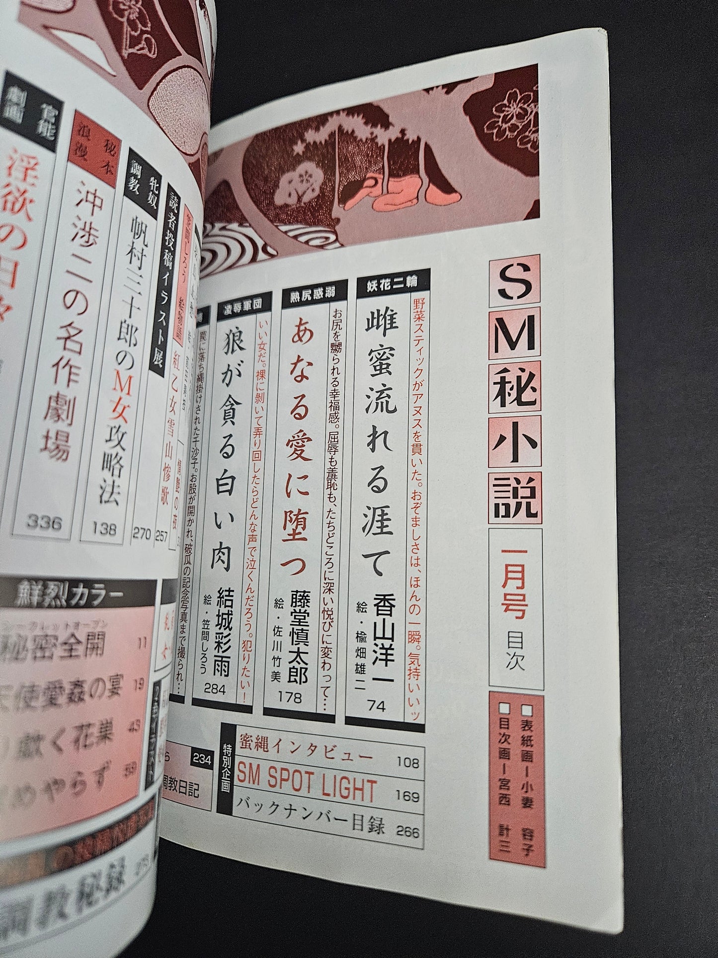 SM Secret Stories  - January 2001
