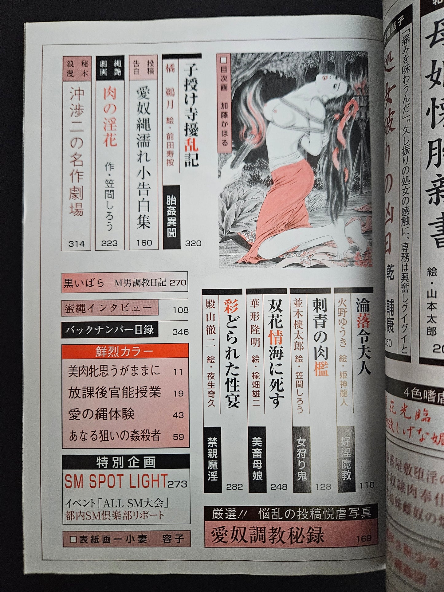 SM Secret Stories - June 2001
