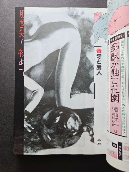 SM Secret Stories - December 1993