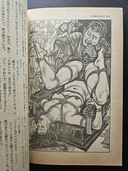 SM Secret Stories - December 1993