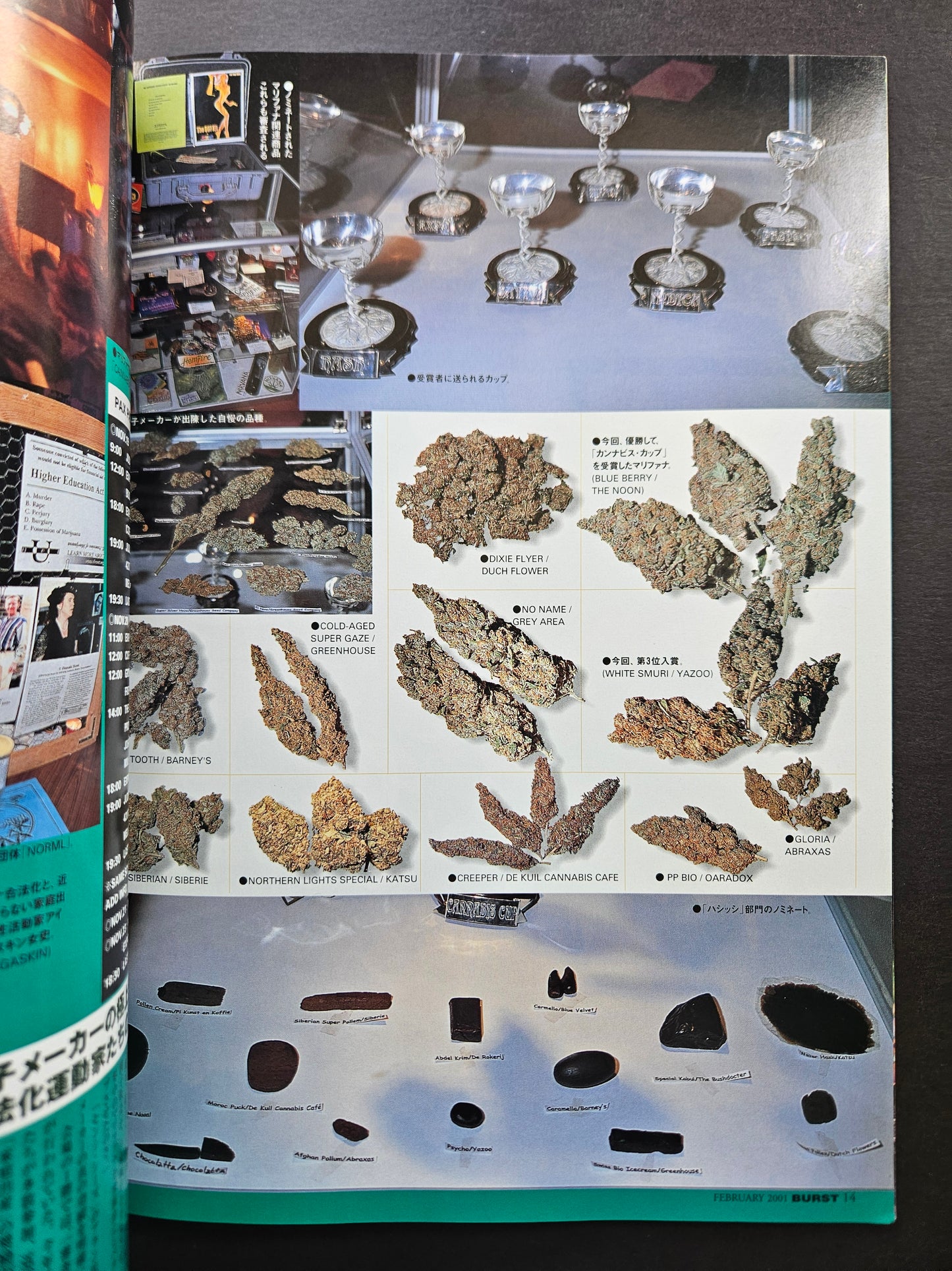 BURST Magazine - February 2001