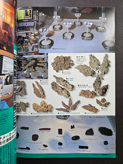 BURST Magazine - February 2001