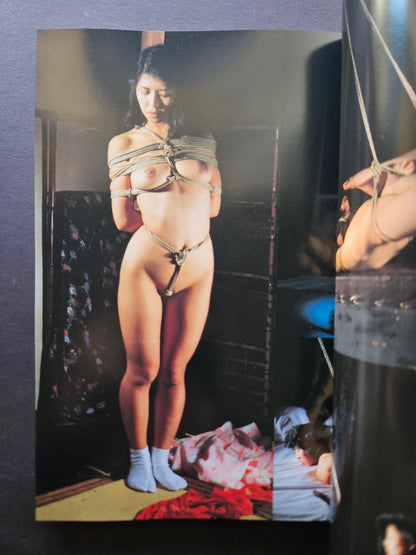 Domina Club - December 1991