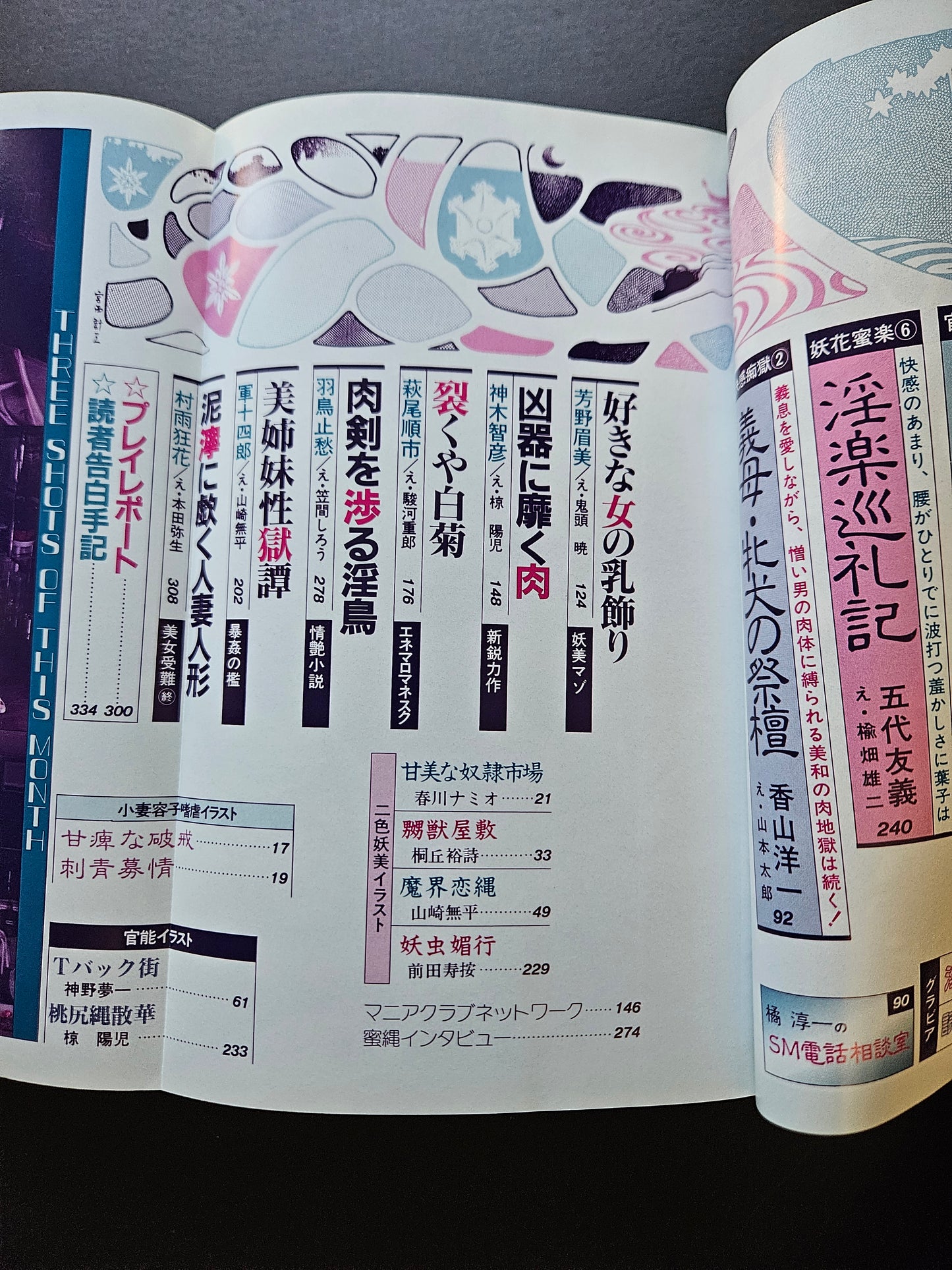 SM Secret Stories - February 1993