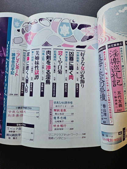SM Secret Stories - February 1993