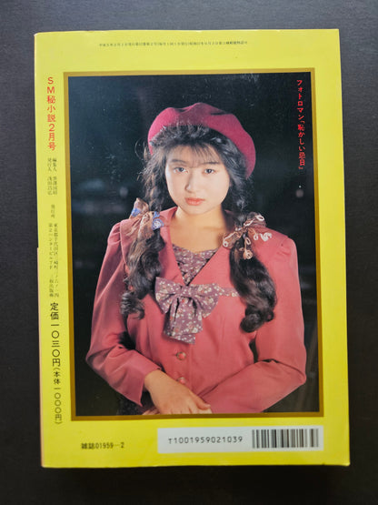 SM Secret Stories - February 1993