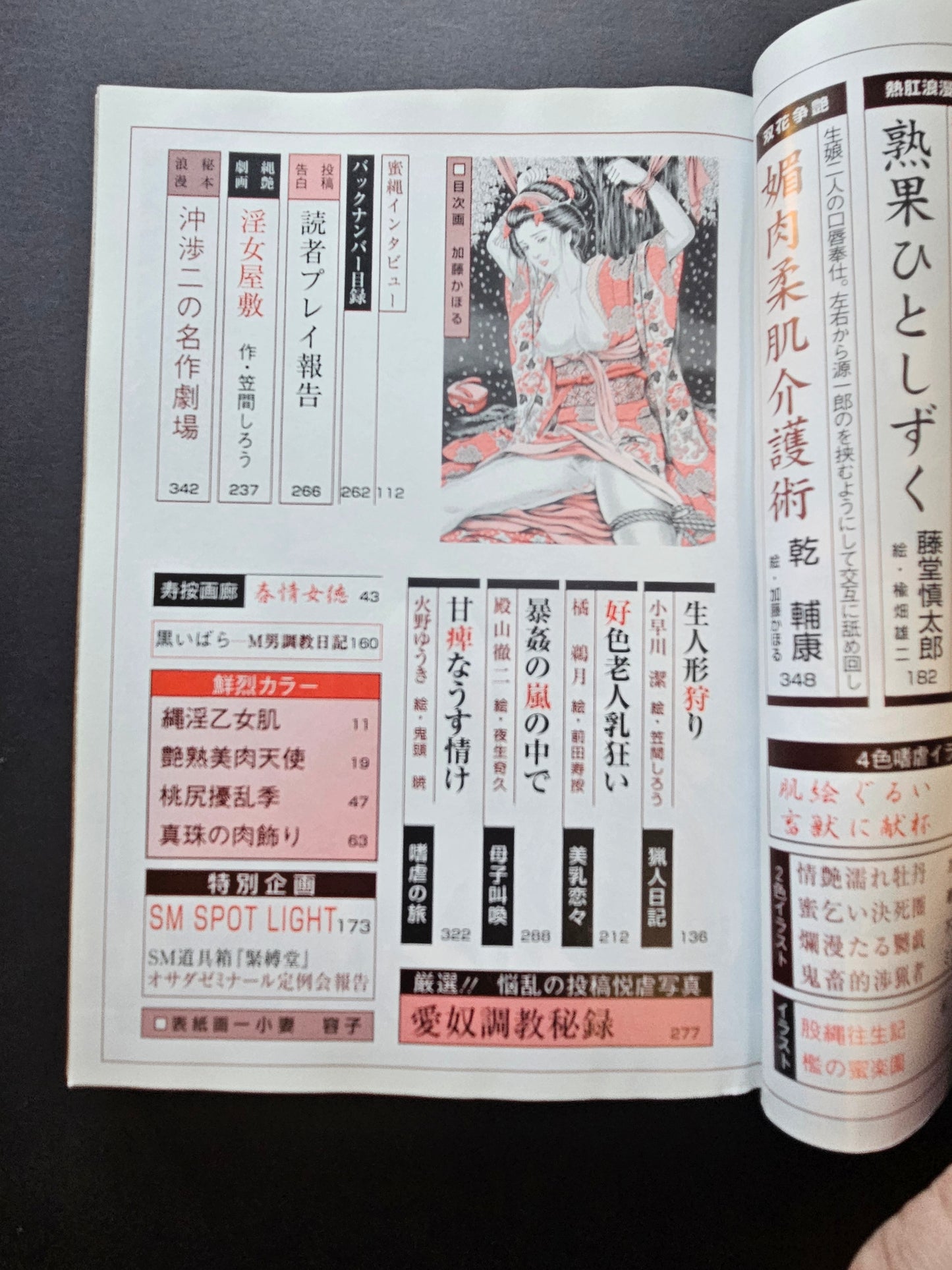 SM Secret Stories - May 2001