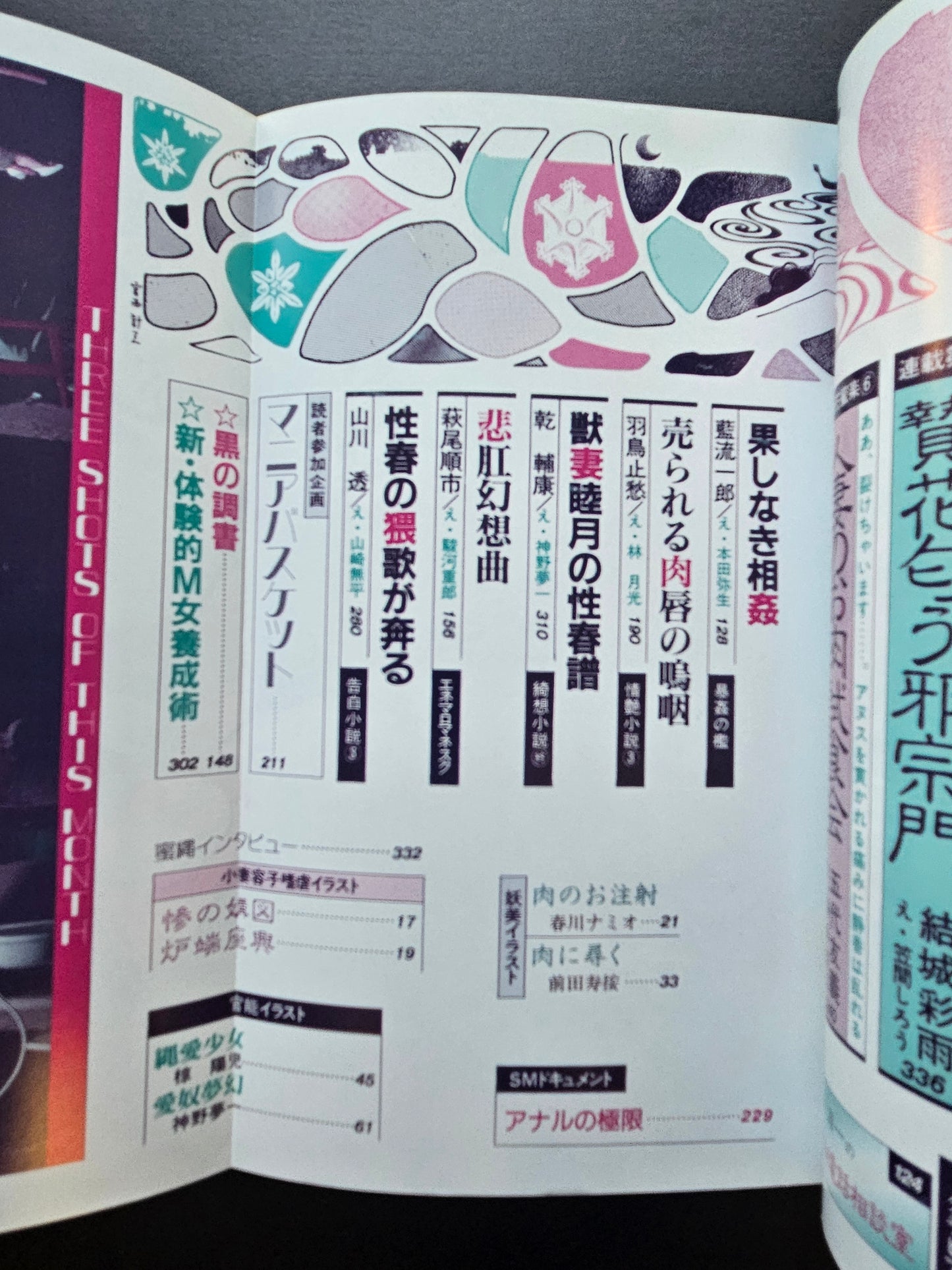 SM Secret Stories - February 1995