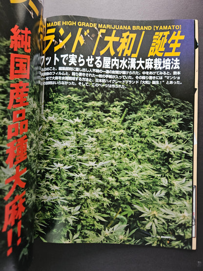 Burst Magazine - July 2001