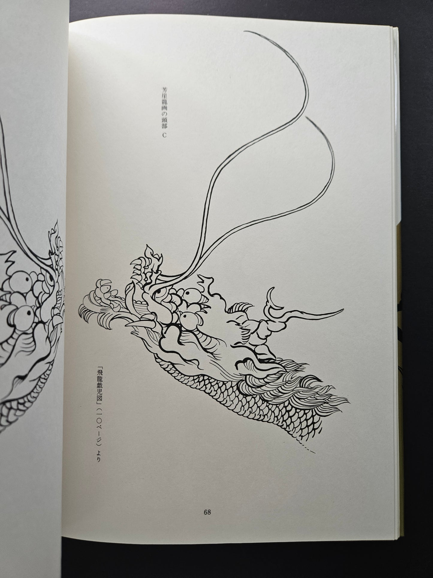 Tansai Terano - Images of 100 Dragons (1984)