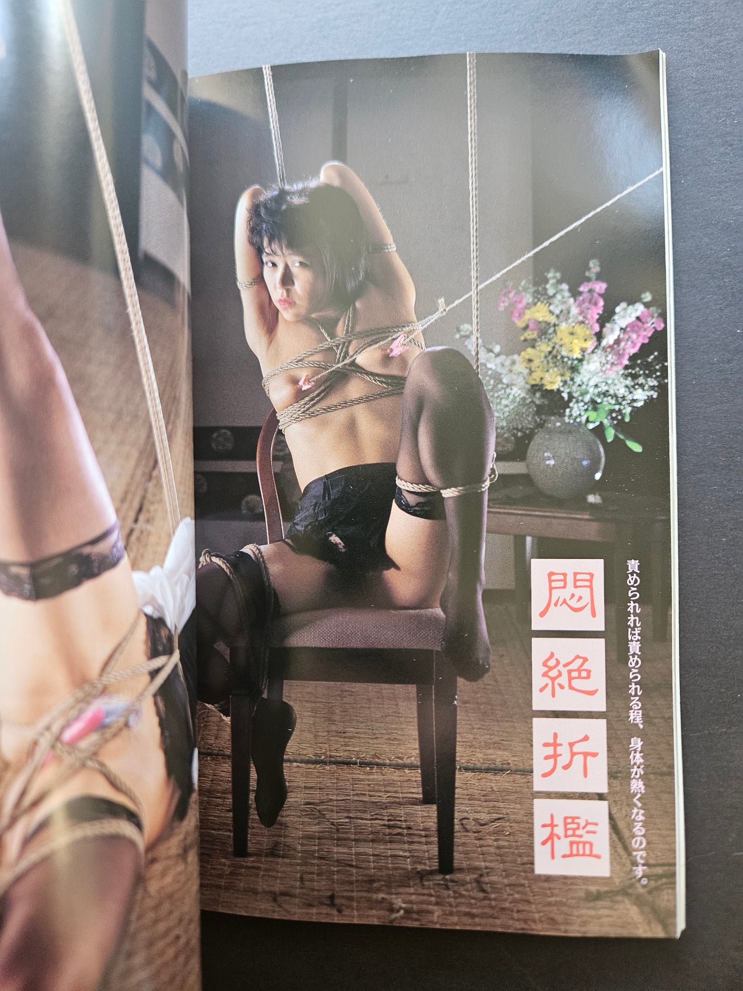 Domina Club - February 1993