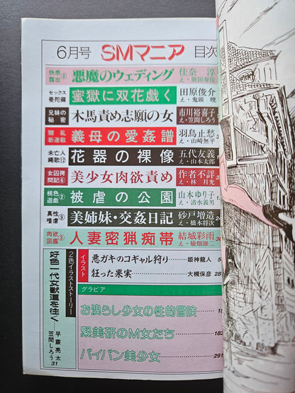 SM Mania - June 1996