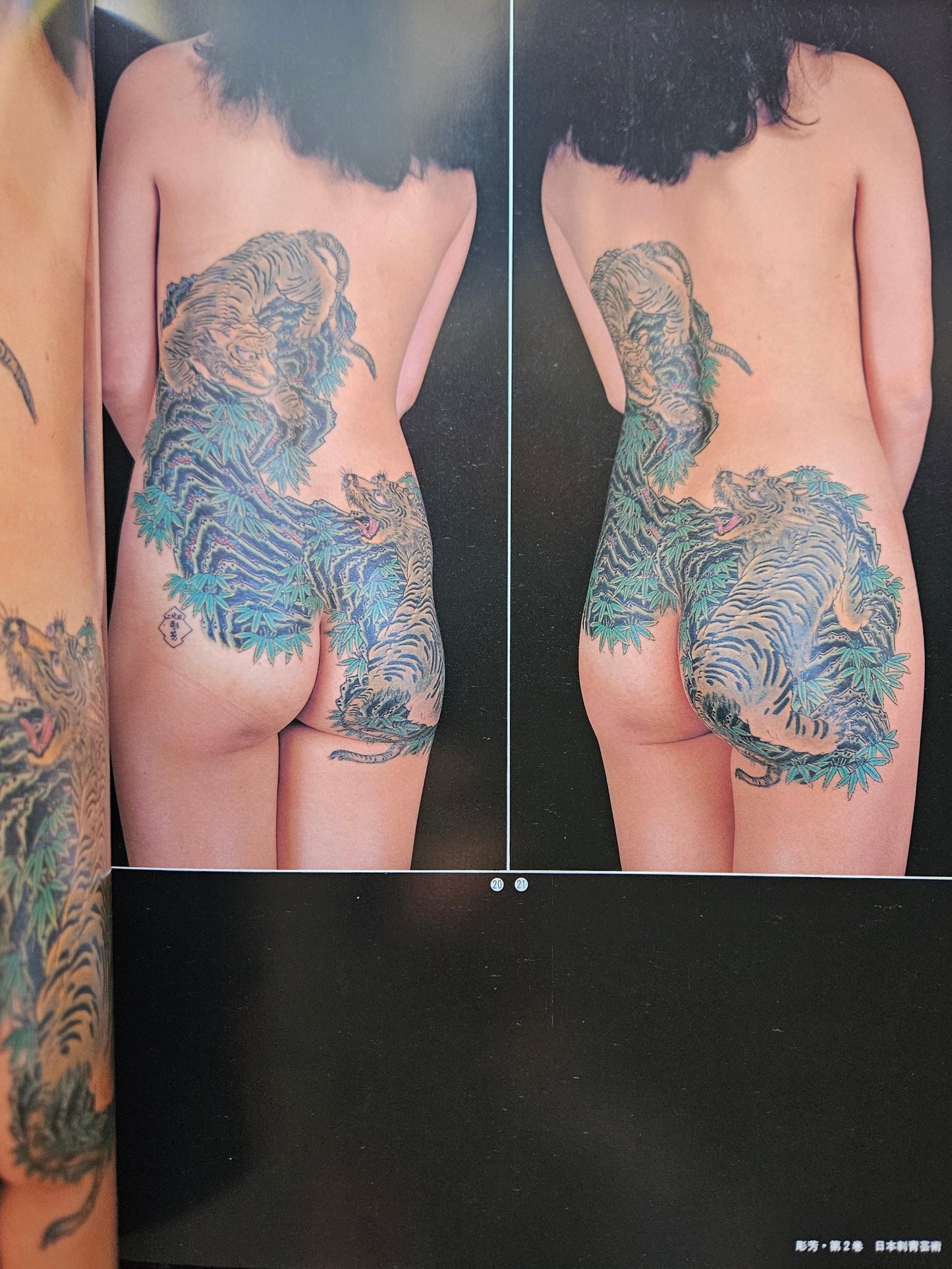 Japan's Tattoo Arts - Horiyoshi's World Vol 2 (1987)