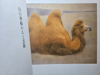 Kayo Yamaguchi Complete Collection (1981)