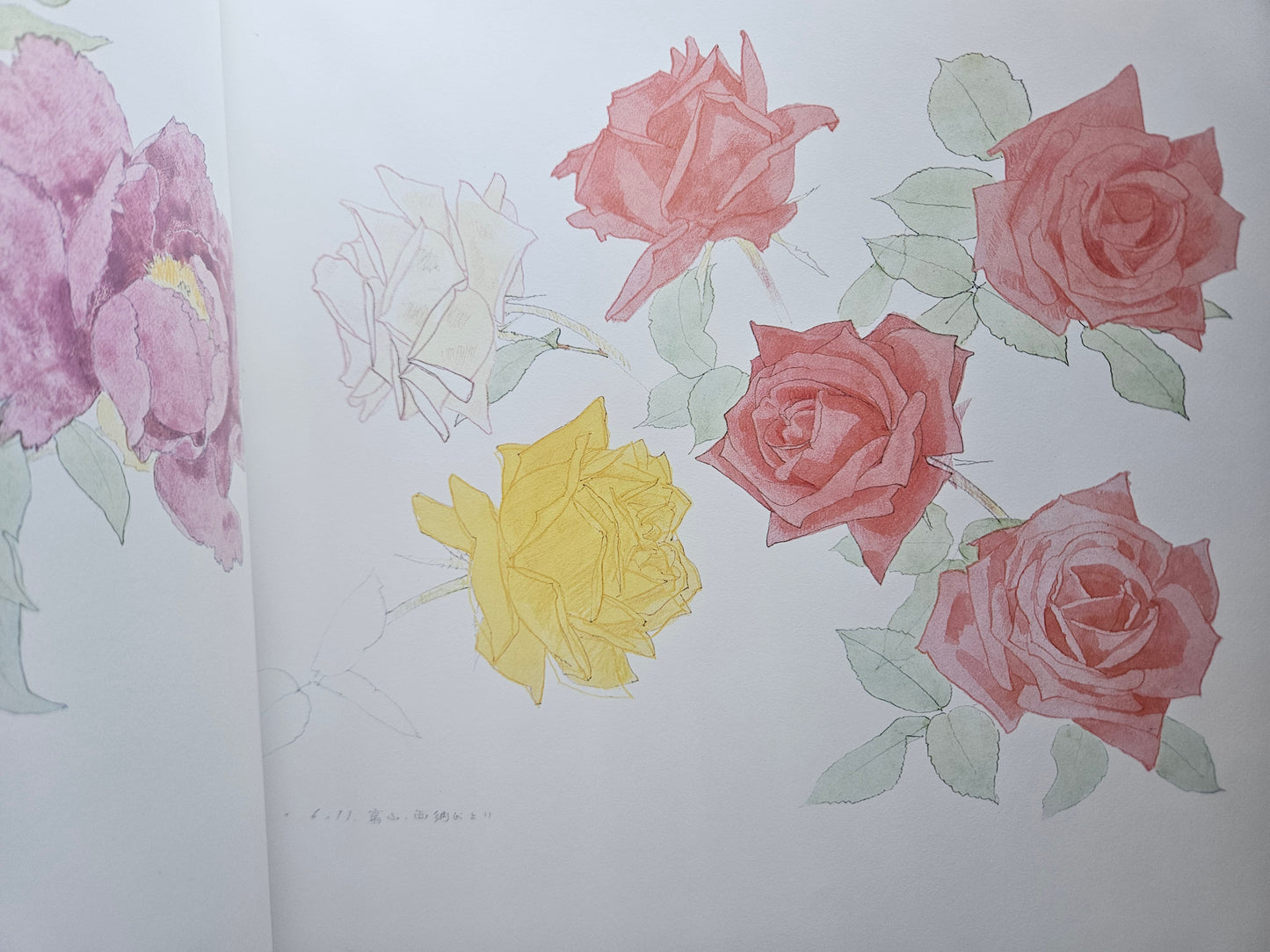 Kayo Yamaguchi Complete Collection (1981)