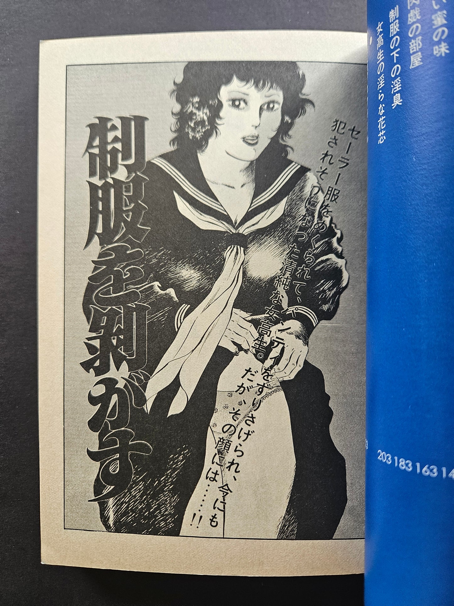 Dangerous High School Girl by Hiroki Hoshimoto (1984)