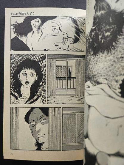Dangerous High School Girl by Hiroki Hoshimoto (1984)