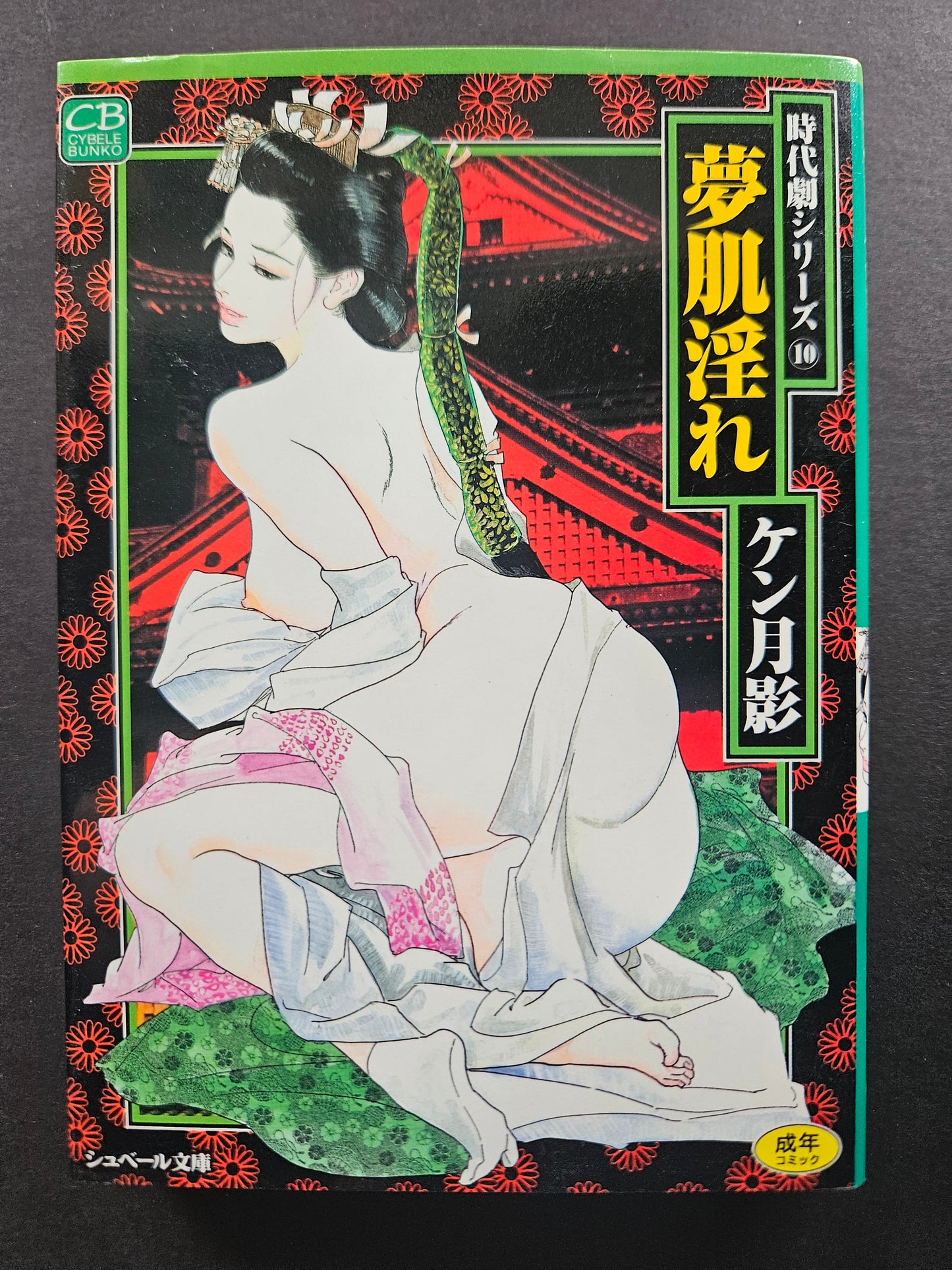 Skin Lewd Dream by Ken Tsukikage (1998)