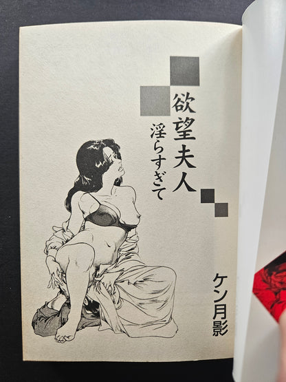 Mrs Desire - Too Lewd! by Ken Tsukikage (2000)