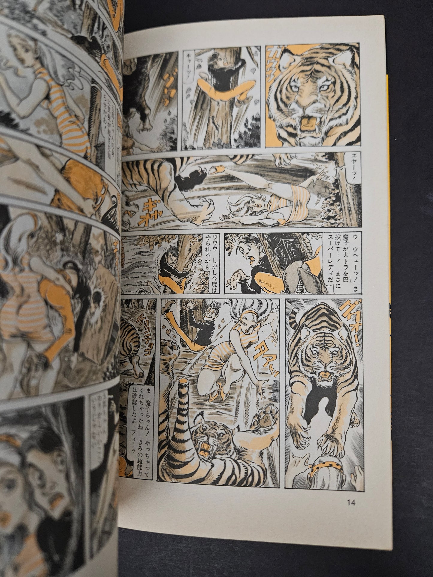 Super Lady Mako in Action by Shiro Kasama (1998)