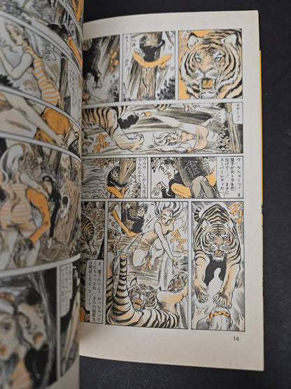 Super Lady Mako in Action by Shiro Kasama (1998)