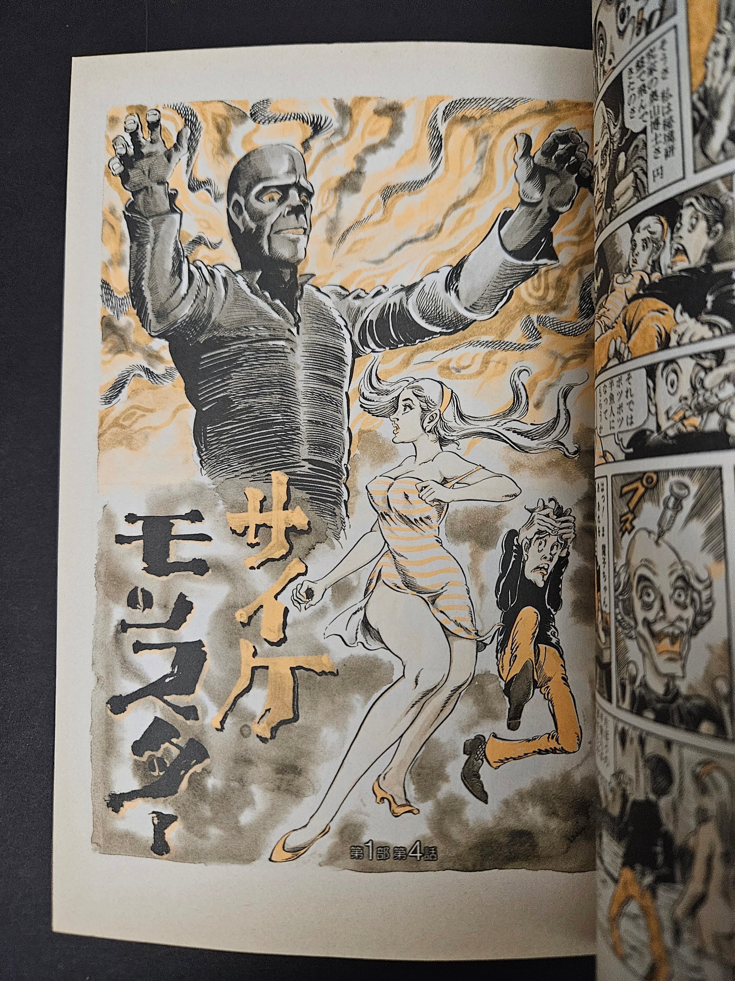 Super Lady Mako in Action by Shiro Kasama (1998)