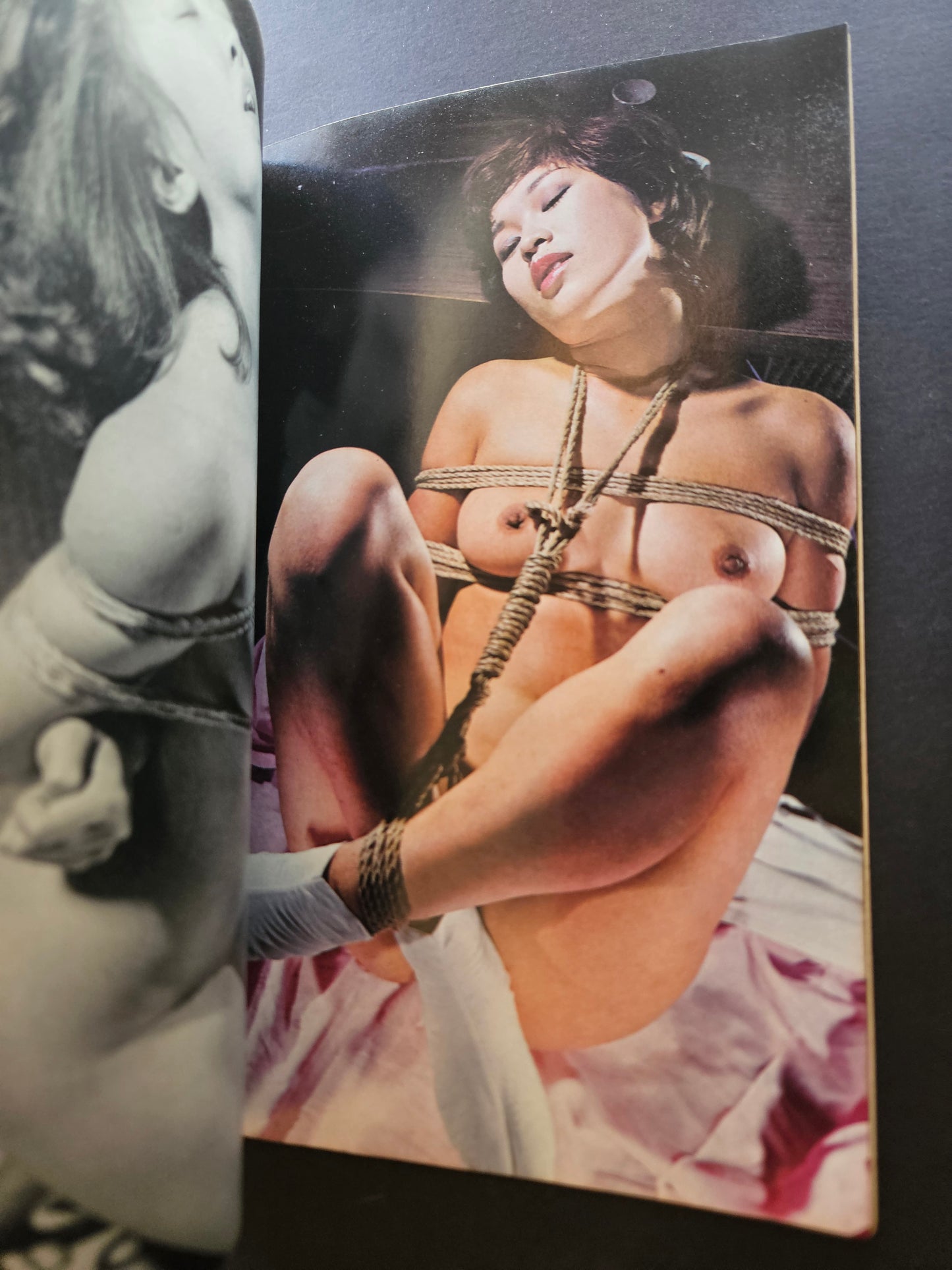SM Fan - December 1977