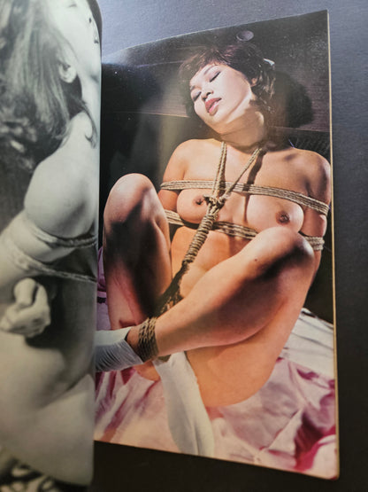 SM Fan - December 1977