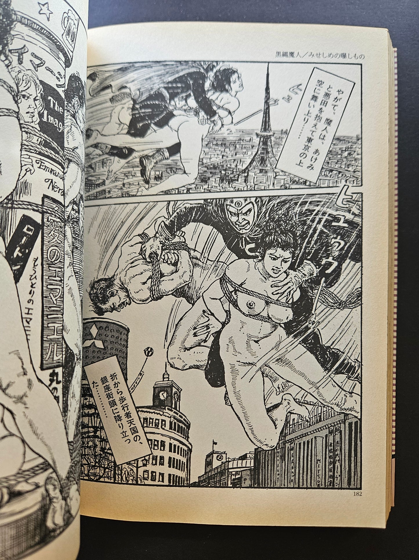 The Legend of Scarlett Cherry Blossom - Shoji Oki (2001)