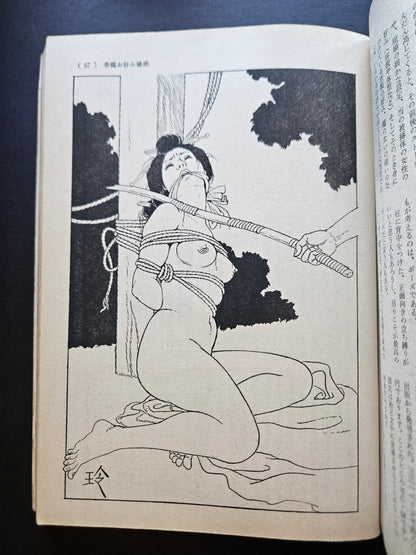 SM Collector - January 1977
