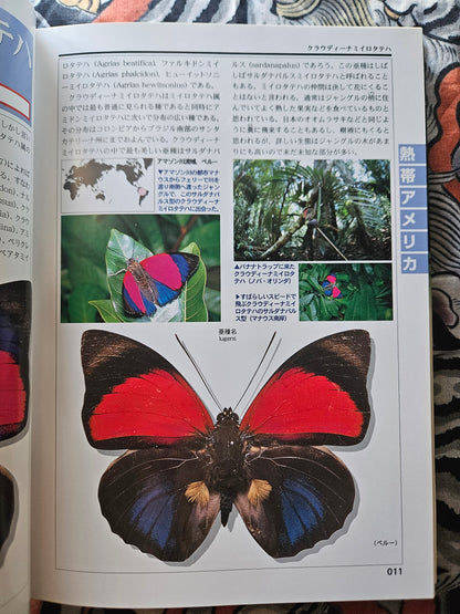 World Rare Butterflies Illustrated Guide: Tropical Rainforest Edition (2001)
