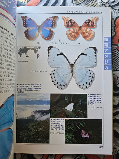 World Rare Butterflies Illustrated Guide: Tropical Rainforest Edition (2001)