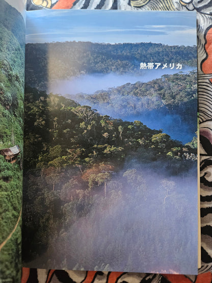 World Rare Butterflies Illustrated Guide: Tropical Rainforest Edition (2001)