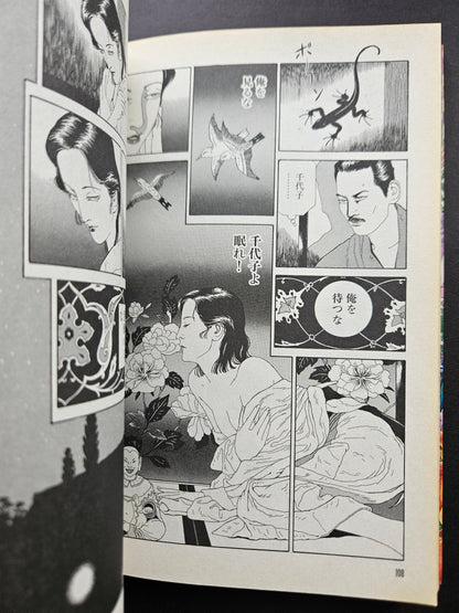 The Strange Tale of Panorama Island - Suehiro Maruo (2010)