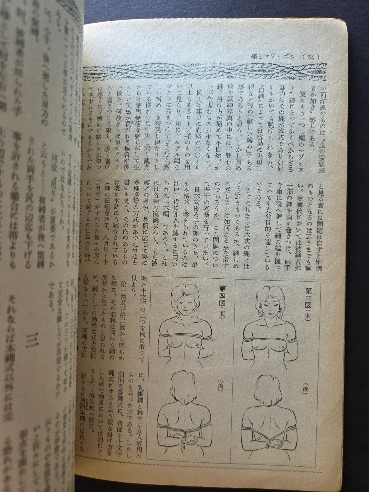 SM Collector - January 1980