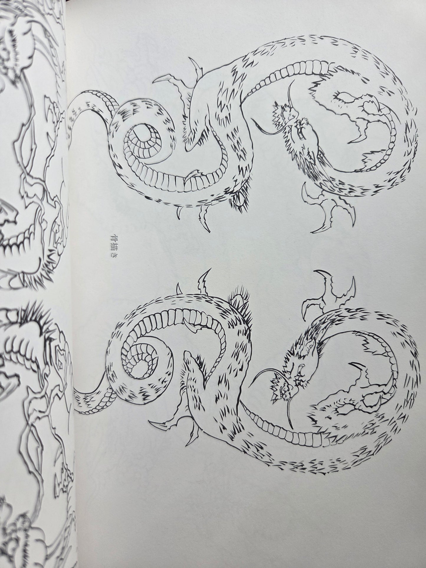 Drawing a Dragon: From Sketches To Works by Tansai Terano (1999)
